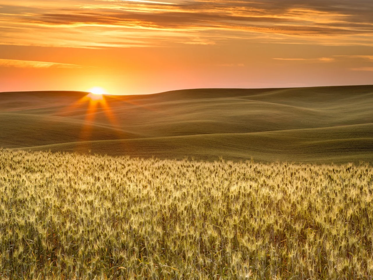 пейзаж, природа, красота