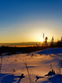 зима, снег, рассвет