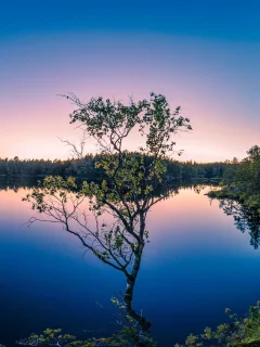 пейзаж, природа, красота