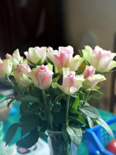 розы, букет, цветы