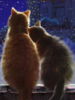 коты, животные, сидят на подоконнике