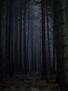 лес, деревья