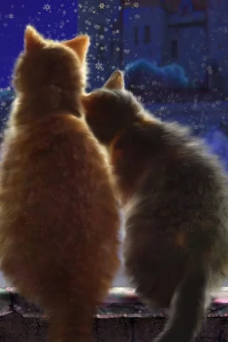 коты, животные, сидят на подоконнике