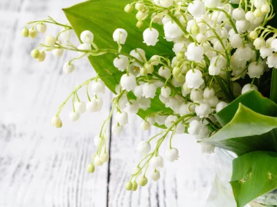 ландыши, букет, цветы