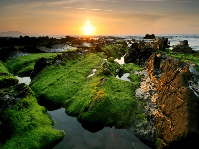 море, берег, солнце
