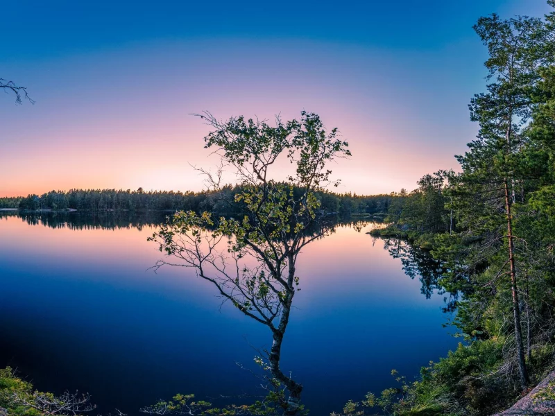 пейзаж, природа, красота