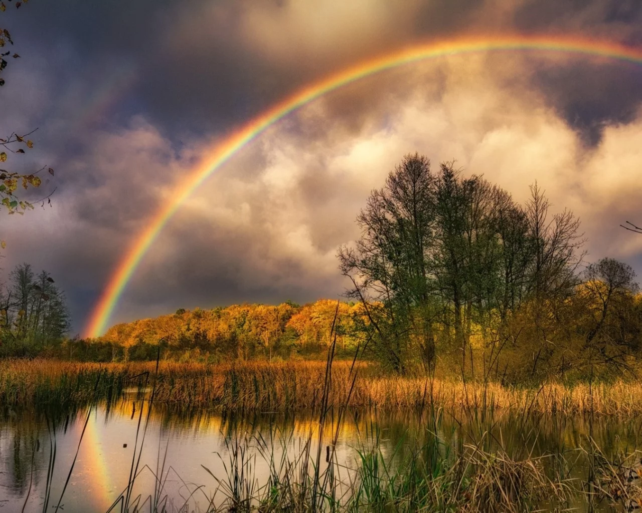 пейзаж, природа, красота