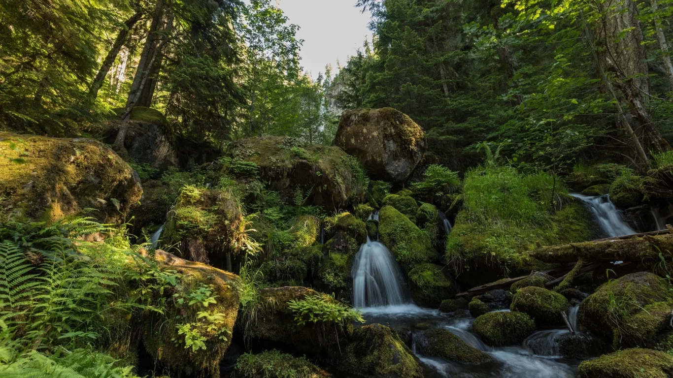 пейзаж, природа, красота