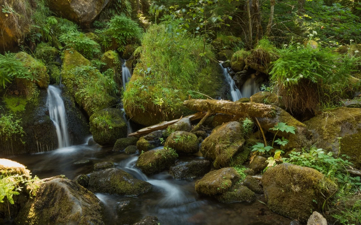 пейзаж, природа, красота