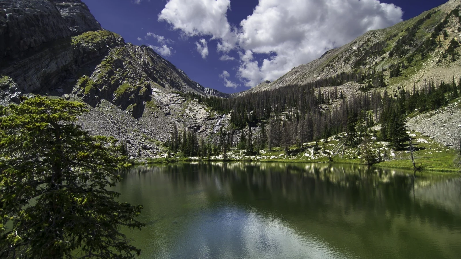пейзаж, природа, красота