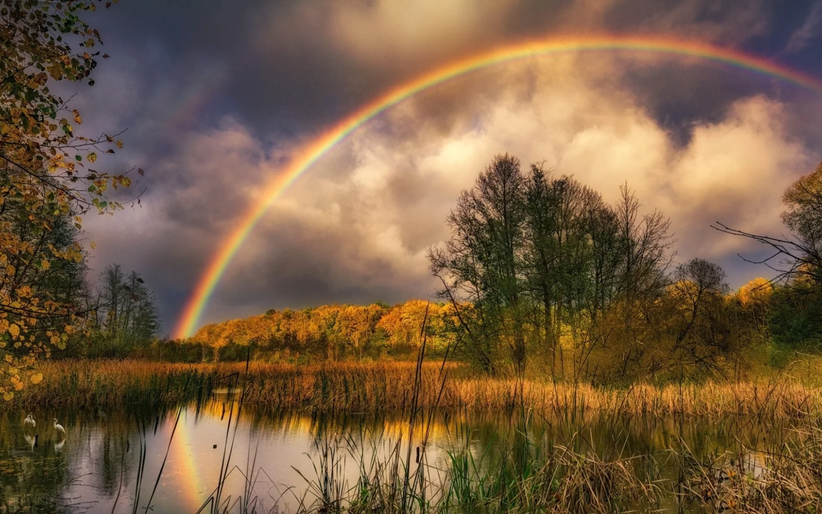 пейзаж, природа, красота