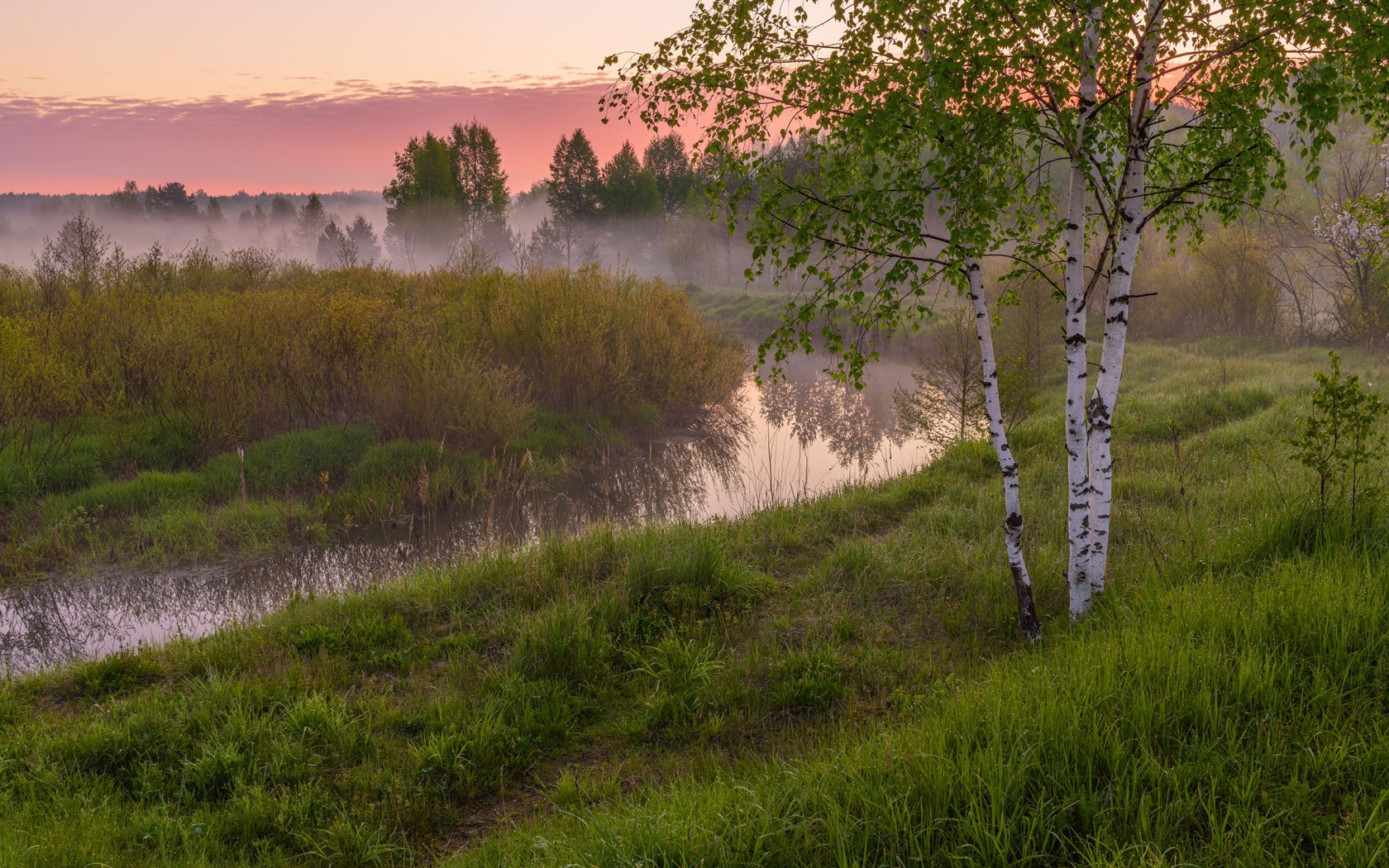 Потянулись по берегам луга огороды поля рощи схема предложения