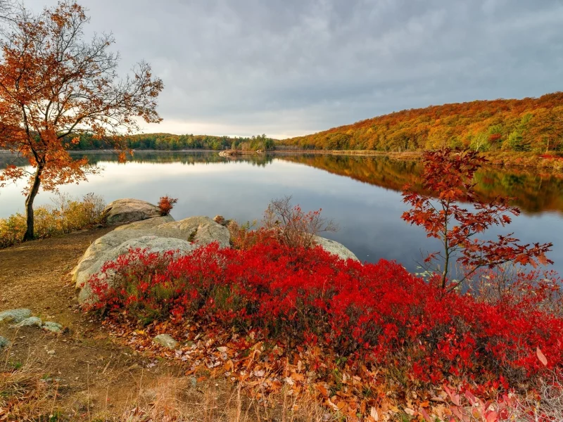 пейзаж, природа, красота