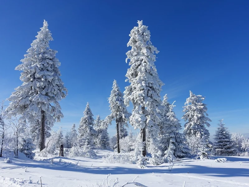 пейзаж, природа, красота