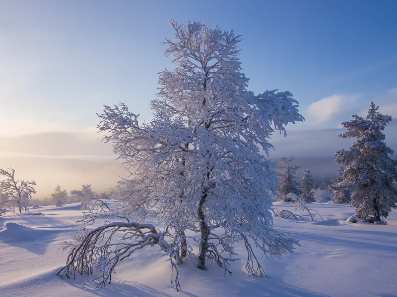 пейзаж, природа, красота