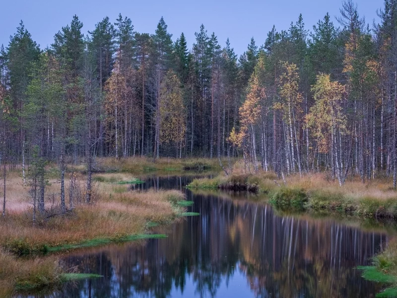 пейзаж, природа, красота