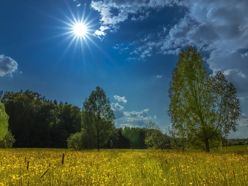 пейзаж, природа, красота