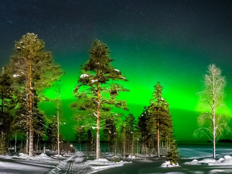 пейзаж, природа, красота