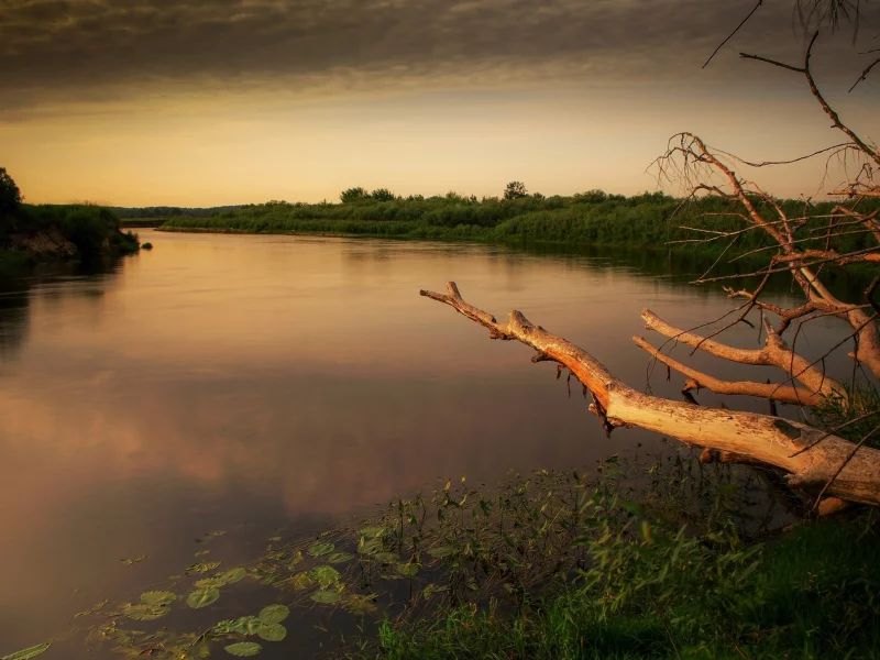 пейзаж, природа, красота