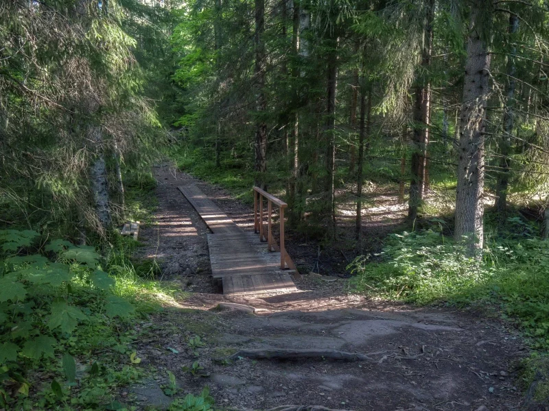 пейзаж, природа, красота