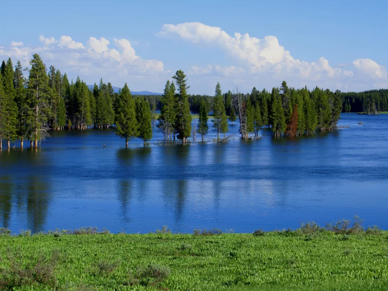 весна, разлив, вода