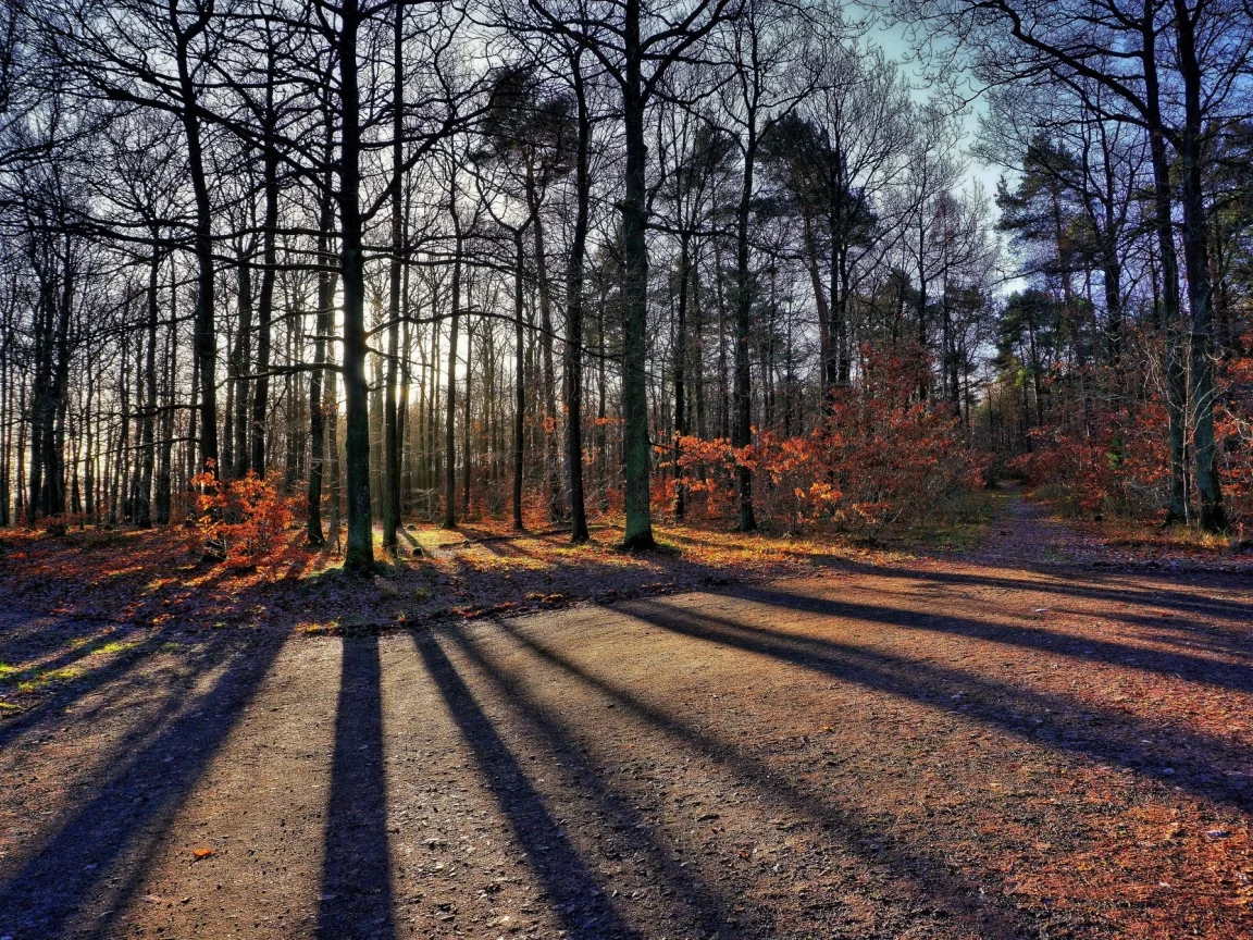 пейзаж, природа, красота