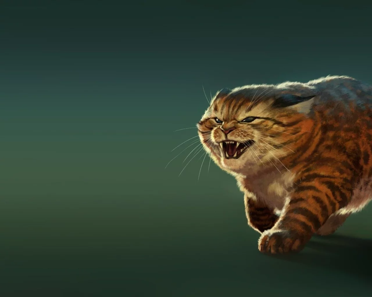 кот, оскал, жирный