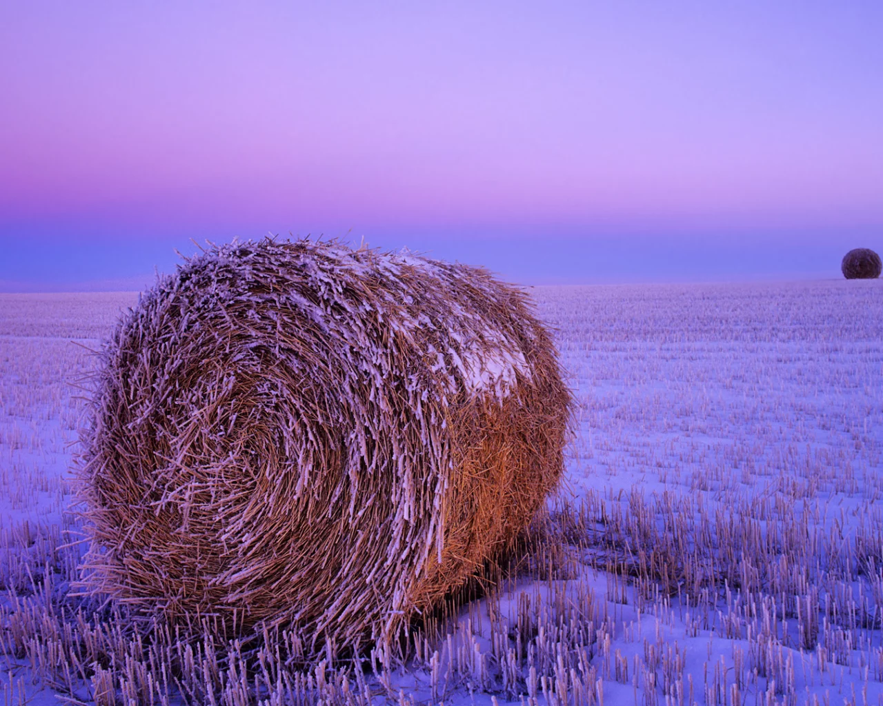 поле, снег, сено рулон