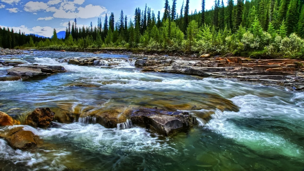 природа, лес, река, горы