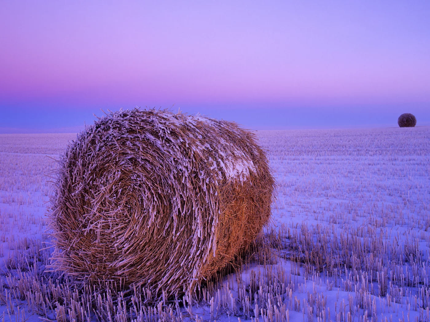 поле, снег, сено рулон