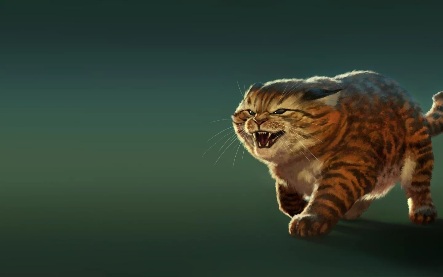 кот, оскал, жирный
