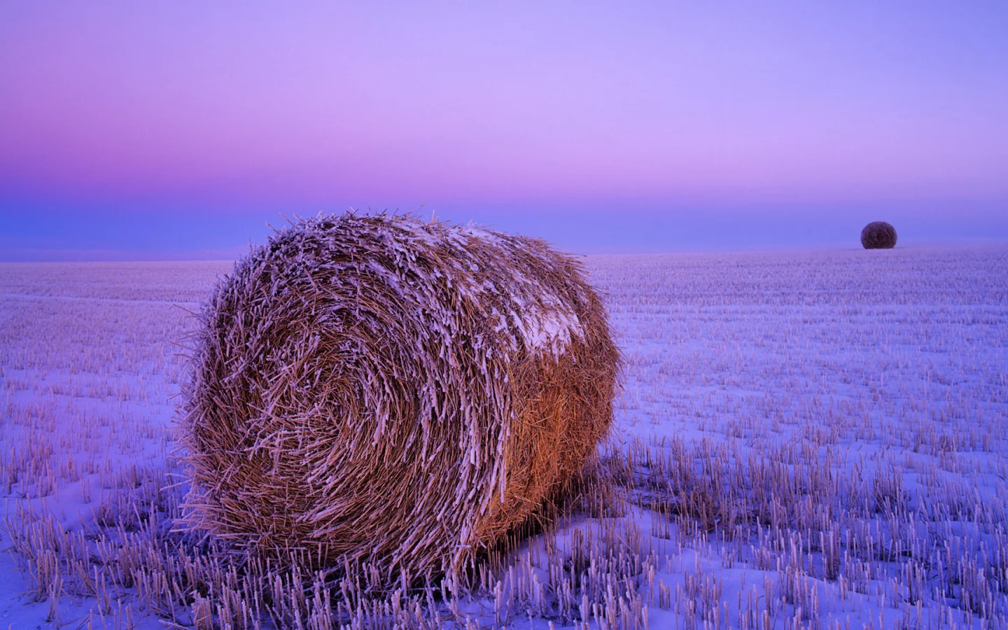 поле, снег, сено рулон