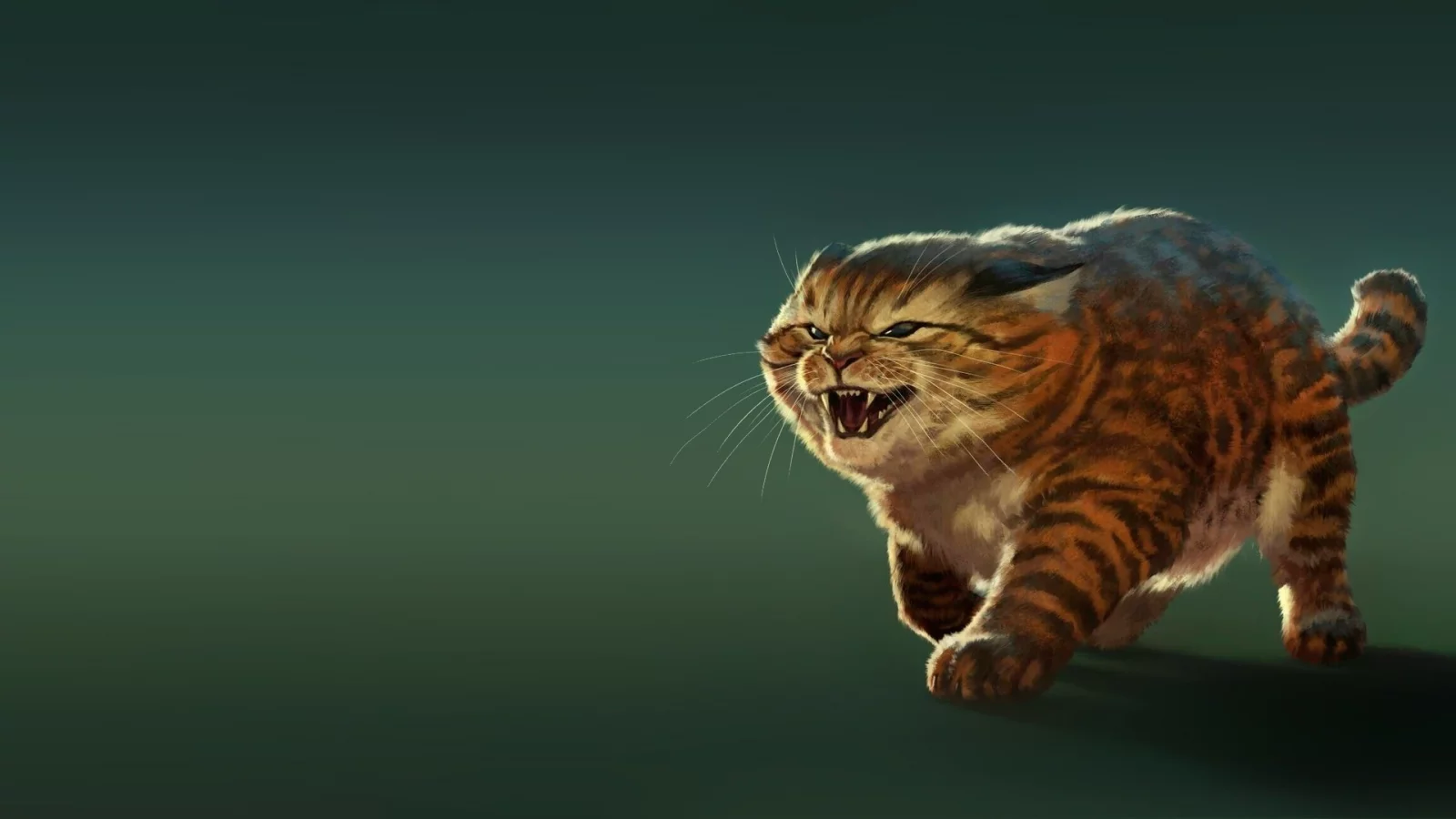 кот, оскал, жирный