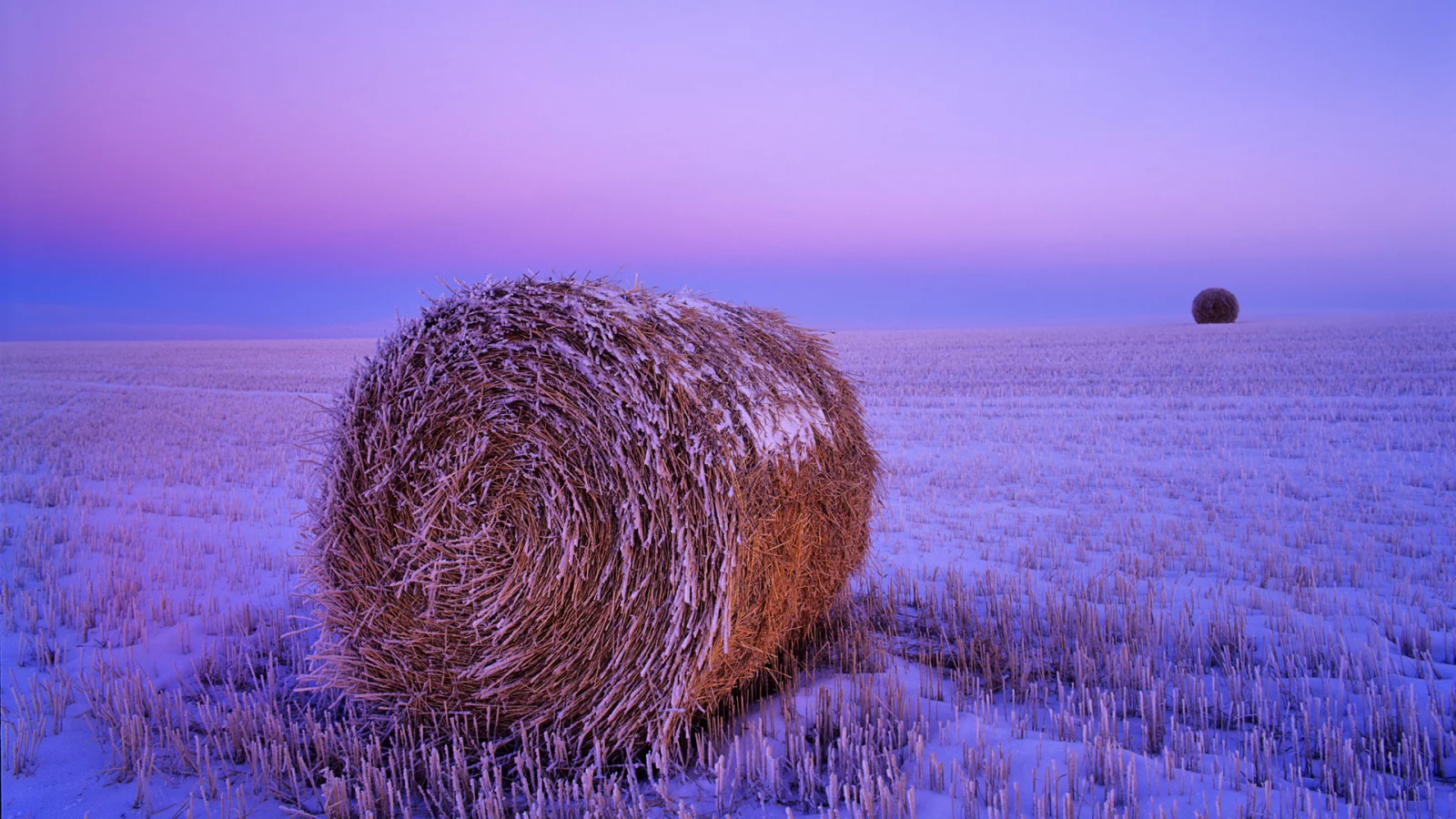 поле, снег, сено рулон
