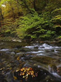 пейзаж, природа, красота