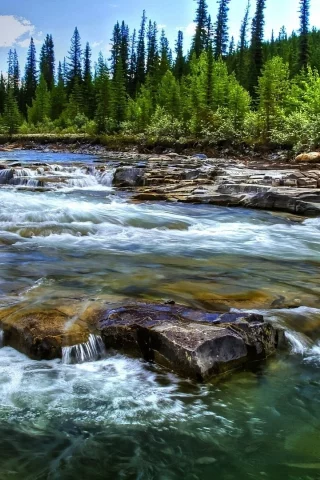 природа, лес, река, горы