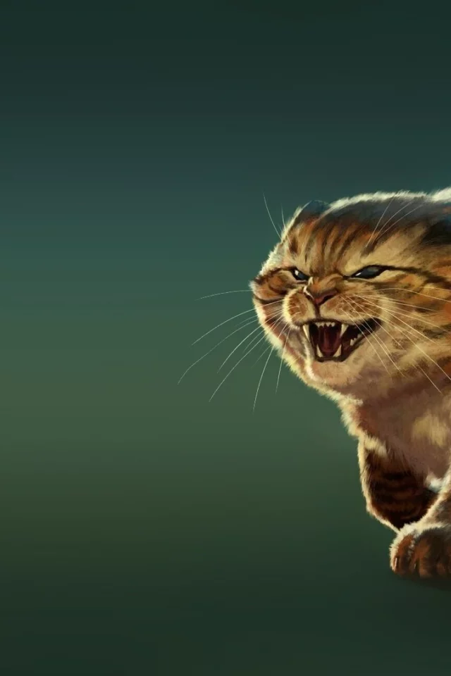 кот, оскал, жирный