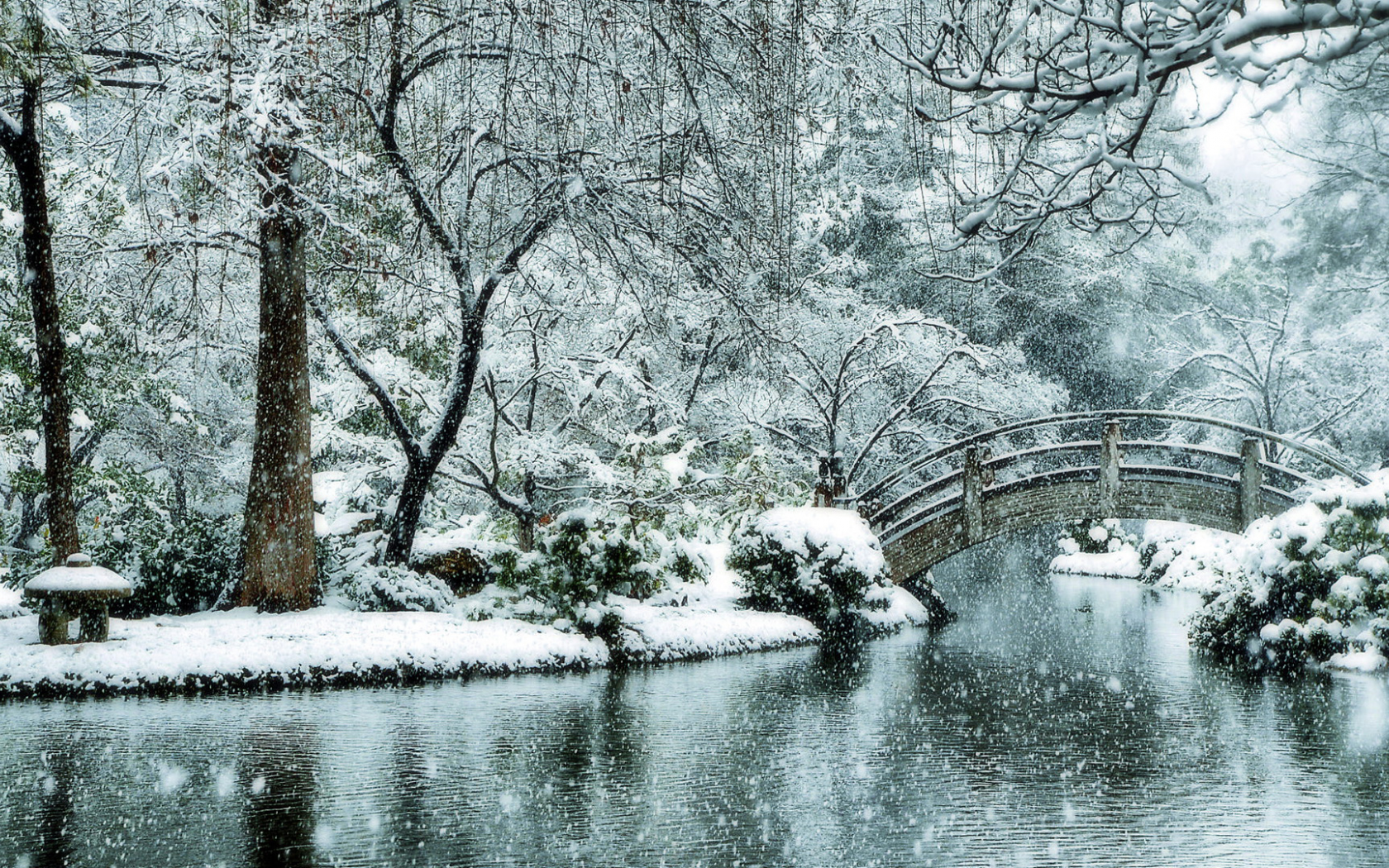 Зимний сад Япония