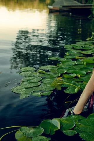 девушка, красивая, в воде