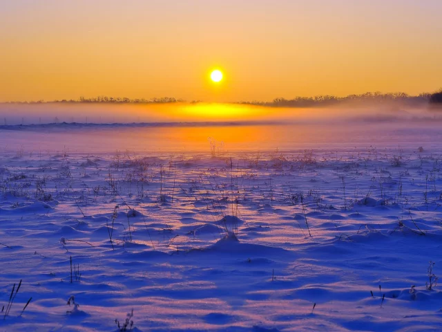 зима, снег, солнце