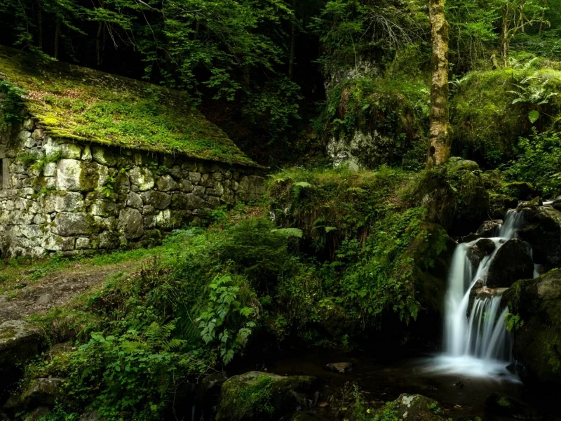 природа, лес, водопад, дом, домик