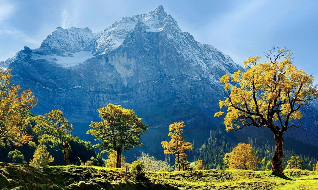 пейзаж, горы, деревья, австрия, austria
