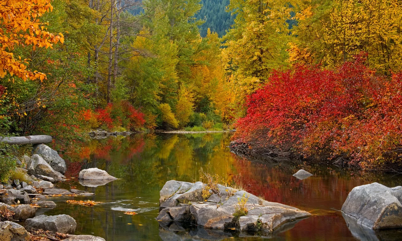 озеро, камни, лес осенний