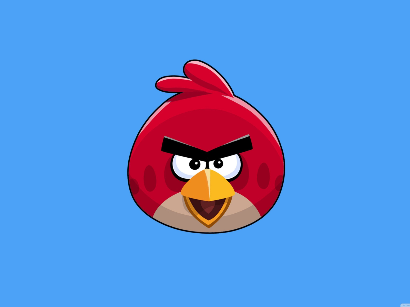 Картинки на angry birds