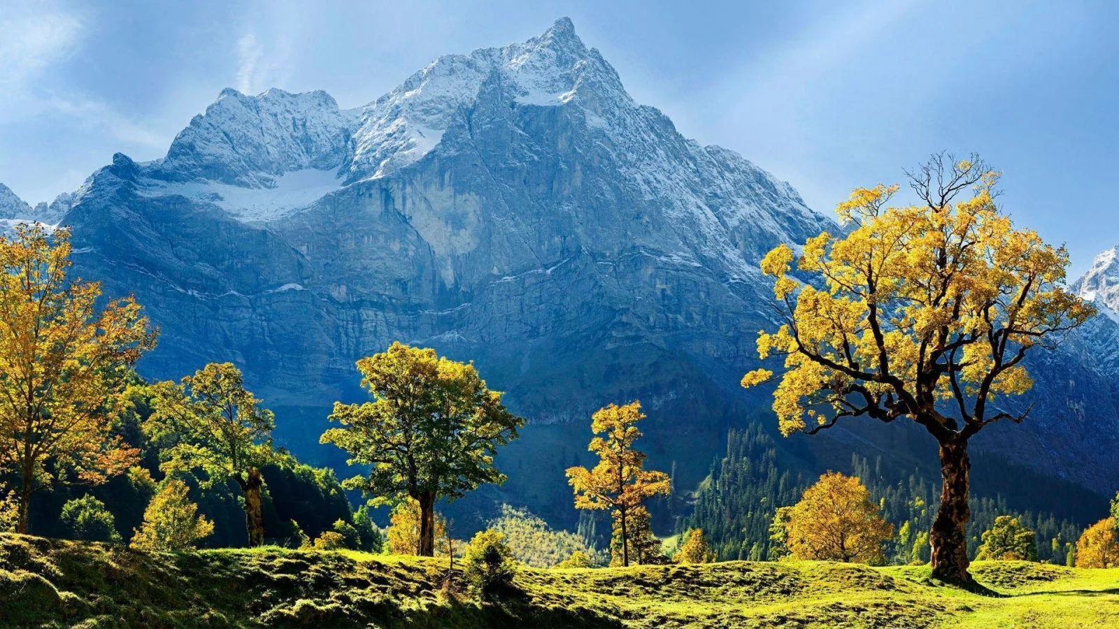пейзаж, горы, деревья, австрия, austria