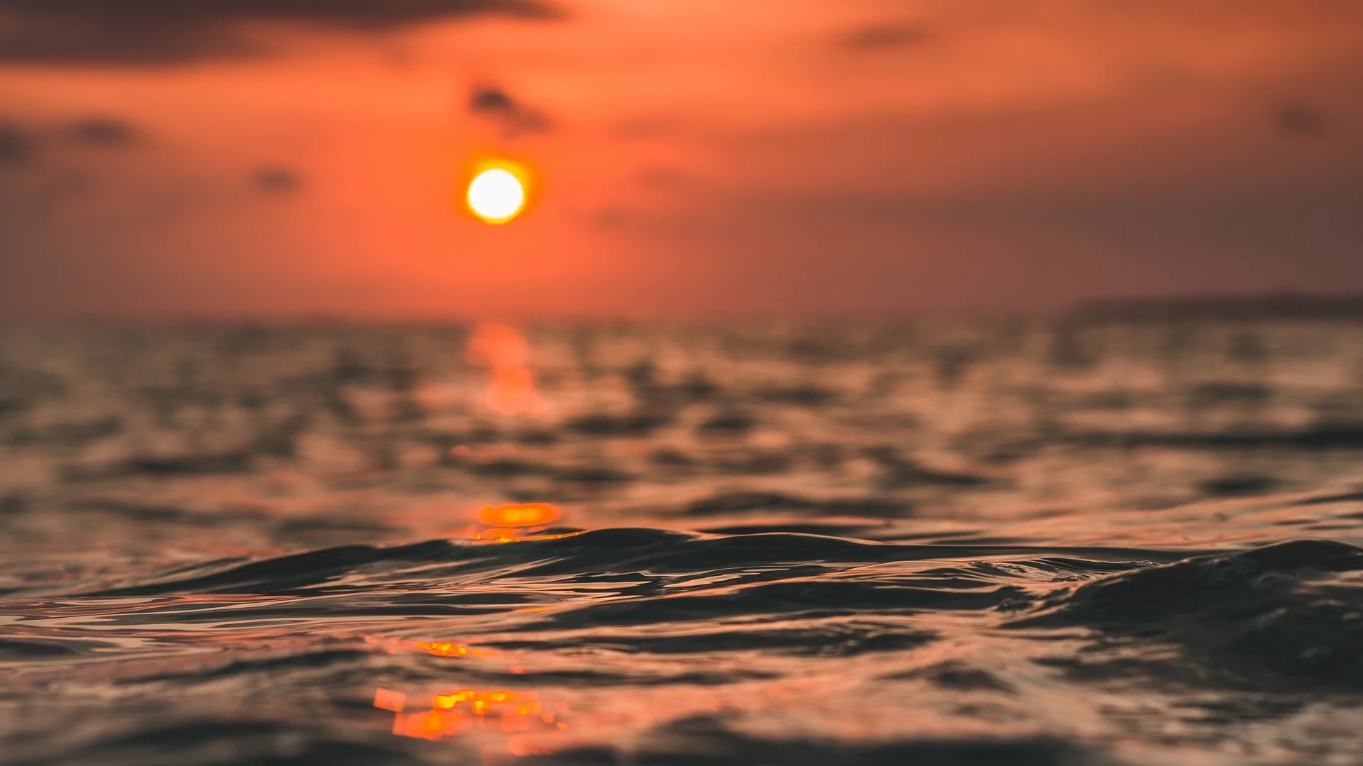 море, горизонт, солнце