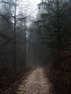 лес, деревья