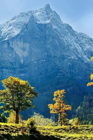 пейзаж, горы, деревья, австрия, austria
