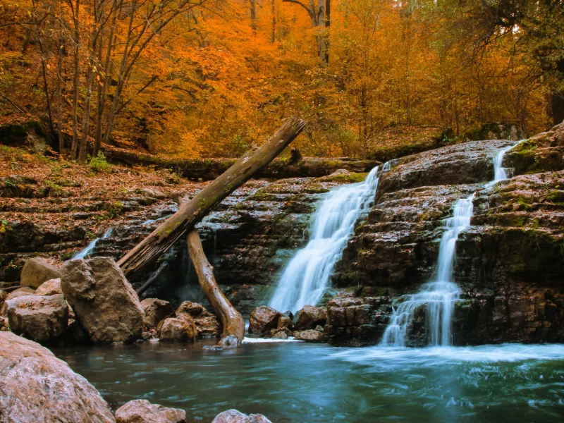 природа, лес, река, водопад