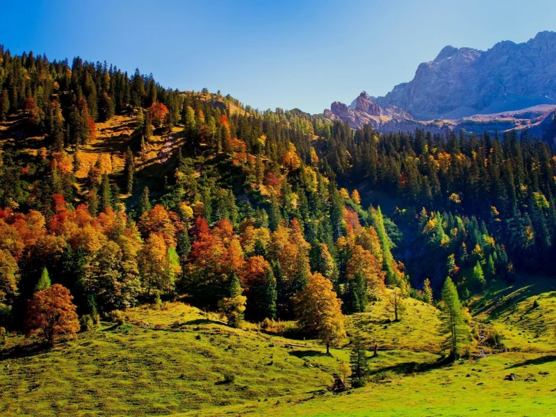 пейзаж, горы, лес, австрия, austria